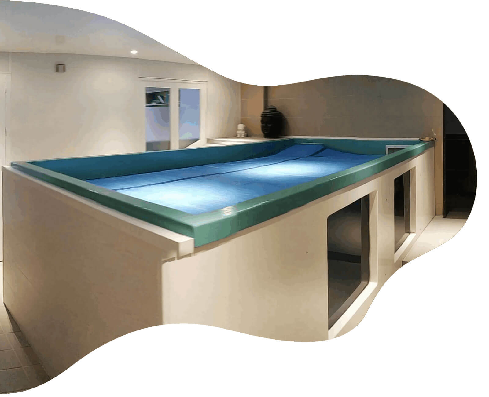 Aquadog-Center reeducation fonctionnelle Guerande